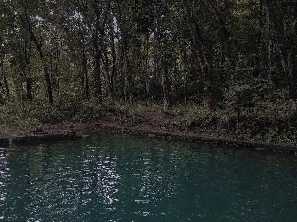 Freshly dug pond holding clear water at the edge of a woodline